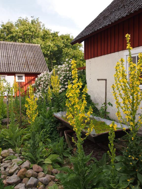 Bed and Breakfast Augustas Bed & Breakfast à Falkenberg Extérieur photo