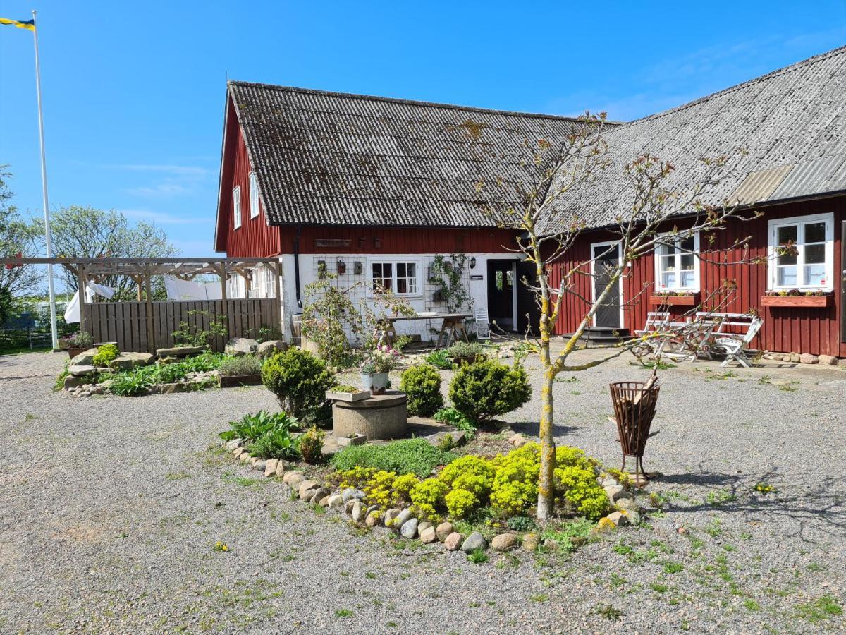 Bed and Breakfast Augustas Bed & Breakfast à Falkenberg Extérieur photo